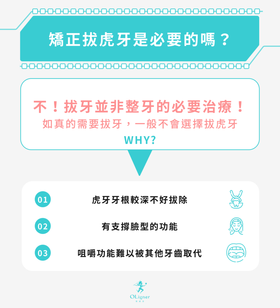 矯正拔虎牙是必要的嗎？
答案是：不！拔牙並非整牙的必要治療，如真的需要拔牙，一般不會選擇拔虎牙。
原因：
1. 虎牙牙根較深不好拔除
2.有支撐臉型的功能
3.咀嚼功能難以被其他牙齒取代